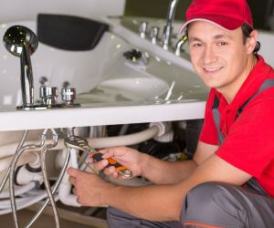 About Plumbers Pros Lake Ann, MI